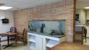 acrylic tank